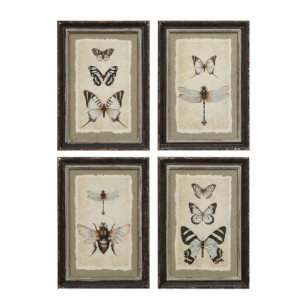 Wood Framed Vintage Reproduction of Insect Print