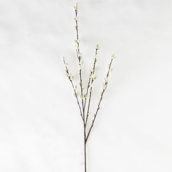 Grey Pussy Willow Stem - e.t. tobey company