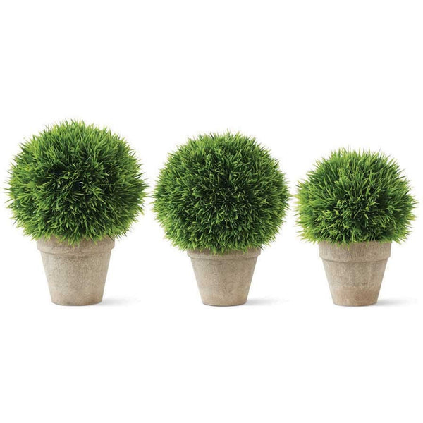 Grass Balls in Pots - E.T. Tobey Company