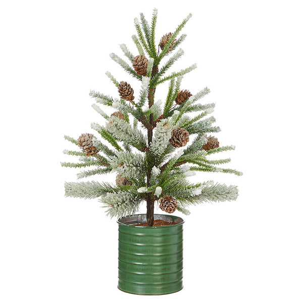 Potted Pinecone Tree