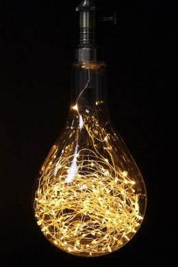 String Light Bulbs