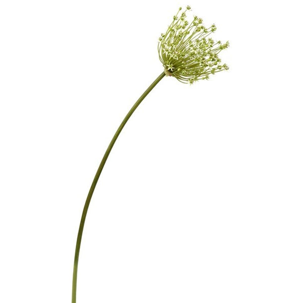 Allium - E.T. Tobey Company