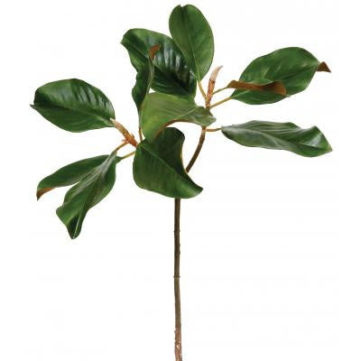 Magnolia Leaf S. - E.T. Tobey Company