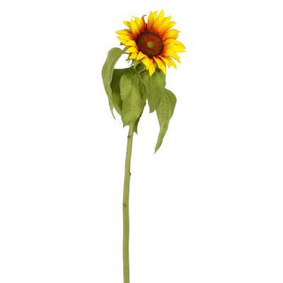 Sunflower - E.T. Tobey Company