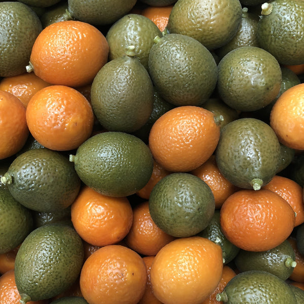 Mini Oranges & Limes