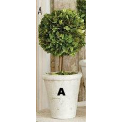 Preserved Boxwood Topiary - E.T. Tobey Company