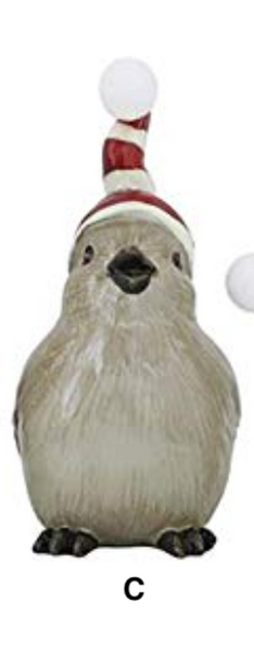 Bird with Stocking Hat