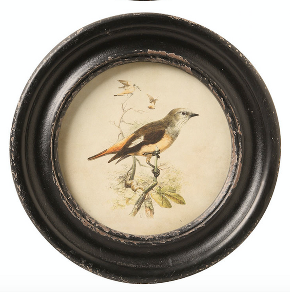 Round Framed Bird Print