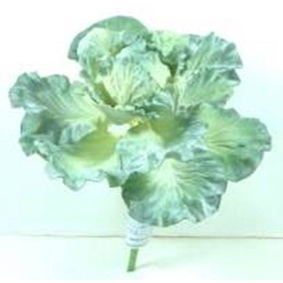 Cabbage Ornamental 8" - E.T. Tobey Company