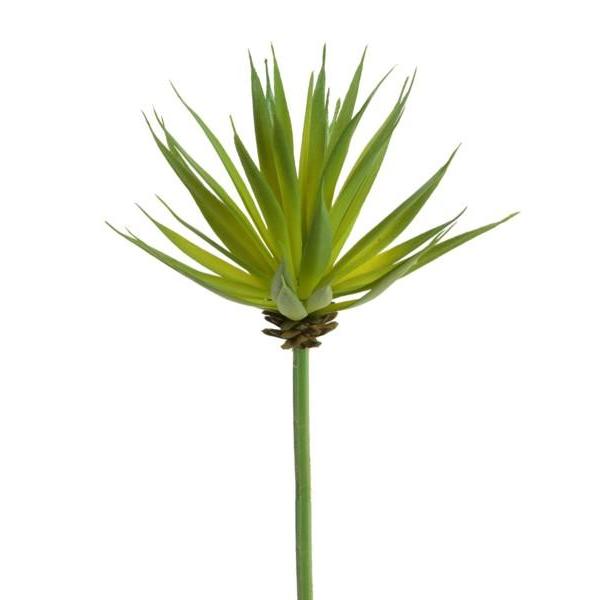Blade Succulent (spiky)