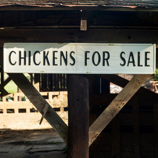Metal Chicken For Sale Sign - E.T. Tobey Company