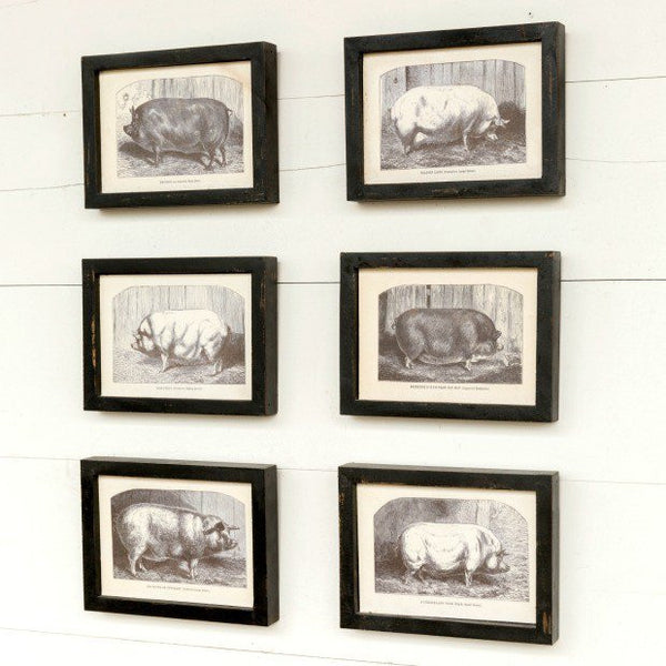 Collected Pig prints - e.t. tobey company - farmhouse style