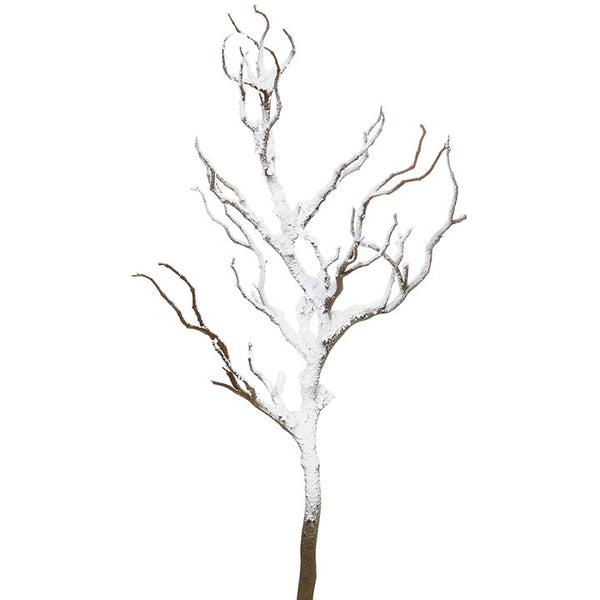 Snowy Manzanita Branch