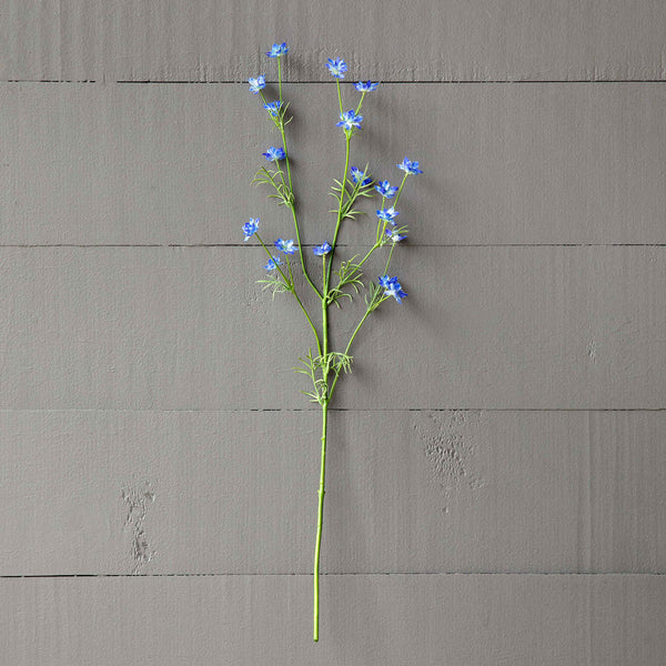 Wild Delphinium